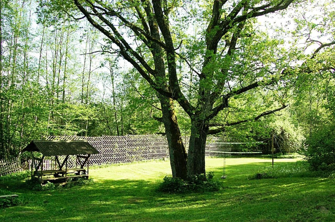 Загородные дома Rehe Turismitalu Kuijõe-39
