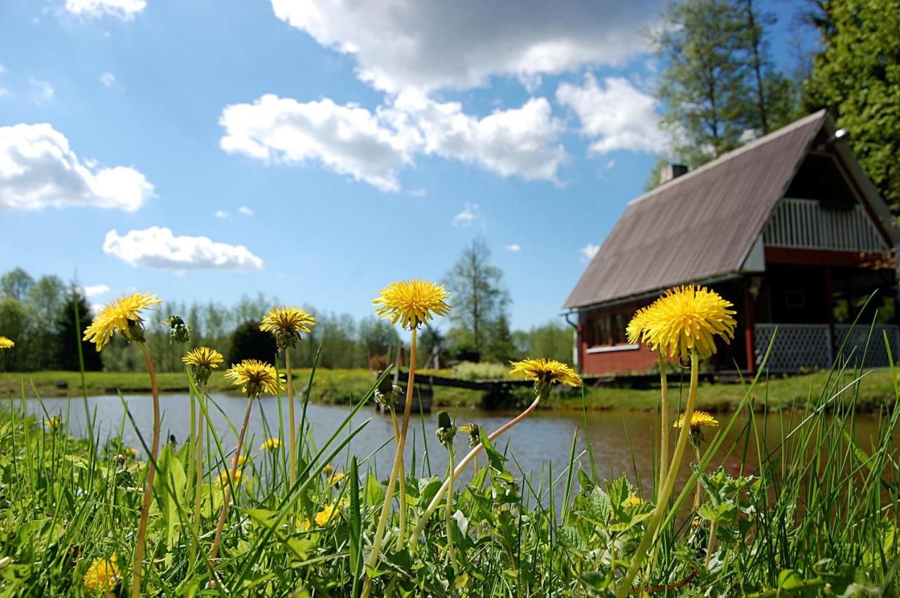 Загородные дома Rehe Turismitalu Kuijõe-41